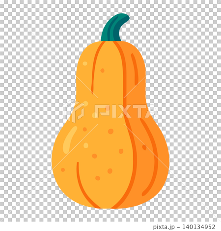 Butternut squash in flat vector style for food illustration and packaging 140134952