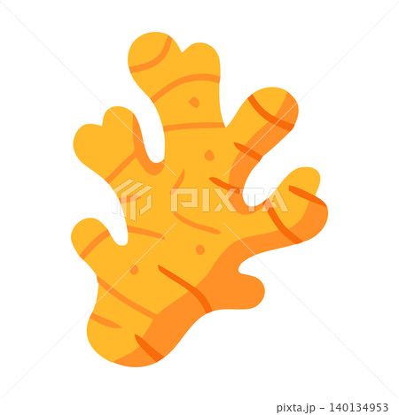 Ginger root vector illustration in modern flat style for food and health packaging Ginger root vector illustration in modern flat style for food and health packaging 140134953