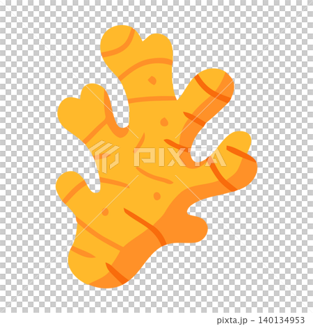 Ginger root vector illustration in modern flat style for food and health packaging Ginger root vector illustration in modern flat style for food and health packaging 140134953