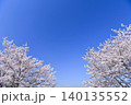 青空の下の桜 140135552
