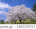 さくら 140135553