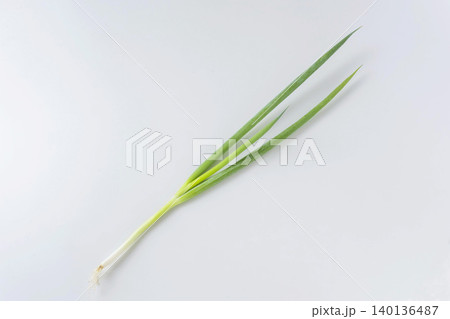 京野菜　九条ネギ 140136487
