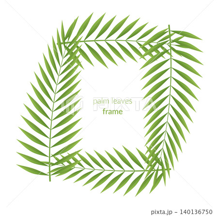 Tropical Palm Leaf Frame Template 140136750
