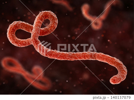 Ebola Virus 3D Medical Illustration Isolated Microscopic Pathogen Ebola Virus 3D Medical Illustration Isolated Microscopic Pathogen 140137079
