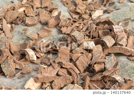 Arjun Bark piece on shop for medicinal purpose Arjun Bark piece on shop for medicinal purpose 140137640