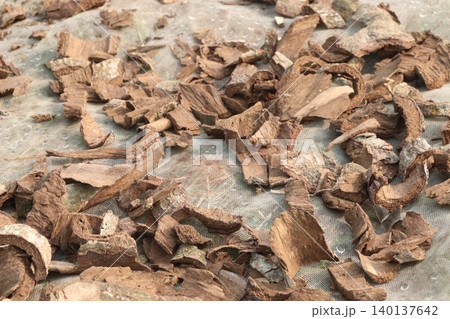 Arjun Bark piece on shop for medicinal purpose Arjun Bark piece on shop for medicinal purpose 140137642