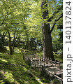 新緑に包まれる公園 140137824