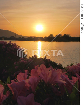 村上池の夕日とツツジ(香川県善通寺市) 村上池の夕日とツツジ(香川県善通寺市) 140138341