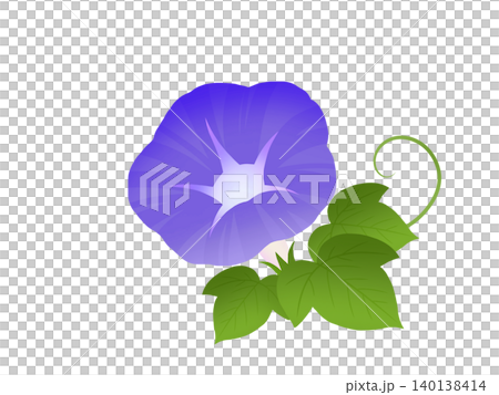 牽牛花 A-2 140138414