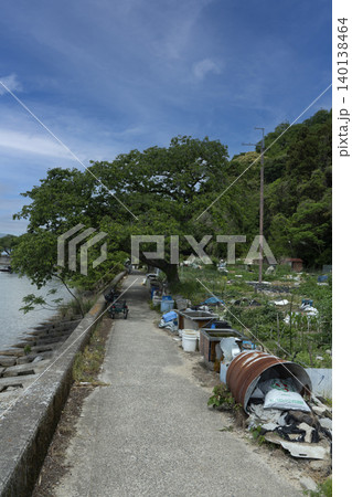 春を迎えた沖島の西側湖岸沿いの風景 140138464