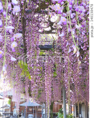 萬福寺2026 (香川県三豊市財田町) 萬福寺2026 (香川県三豊市財田町) 140138478