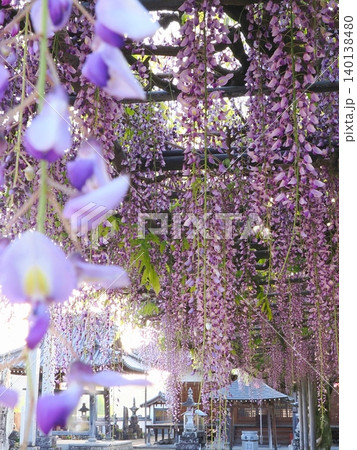 萬福寺2026 (香川県三豊市財田町) 萬福寺2026 (香川県三豊市財田町) 140138480