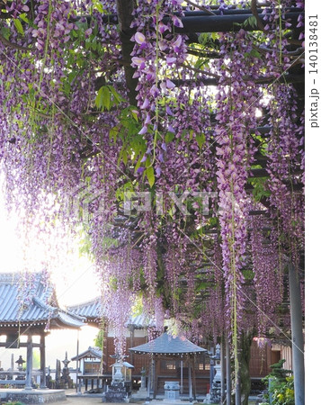 萬福寺2026 (香川県三豊市財田町) 萬福寺2026 (香川県三豊市財田町) 140138481