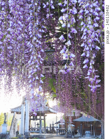 萬福寺2026　（香川県三豊市財田町） 140138482