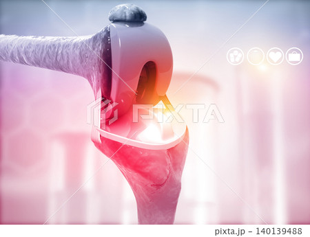 Anatomy of knee joint Anatomy of knee joint 140139488