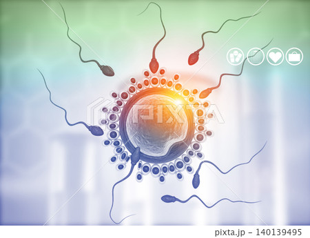 Human egg cell and sperm,Sperm swimming to egg 140139495