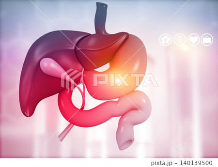 Anantomy of Liver  stomach  pancreas  gallbladder and spleen 140139500