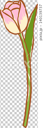 Pink Tulip Flower with Green Leaf Whimsical Doodle Hand Drawn 140139737