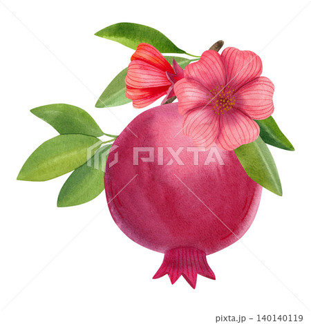 Red pomegranate with green leaves and flowers. Hand drawn watercolor illustration of ripe fruit, isolated. Suitable for stickers, summer decor, cards, packaging, and branding. Red pomegranate with green leaves and flowers. Hand drawn watercolor illustration of ripe fruit, isolated. Suitable for stickers, summer decor, cards, packaging, and branding. 140140119