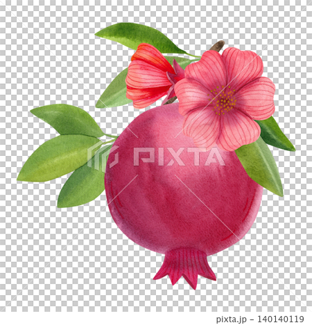 Red pomegranate with green leaves and flowers. Hand drawn watercolor illustration of ripe fruit, isolated. Suitable for stickers, summer decor, cards, packaging, and branding. Red pomegranate with green leaves and flowers. Hand drawn watercolor illustration of ripe fruit, isolated. Suitable for stickers, summer decor, cards, packaging, and branding. 140140119