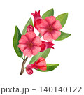 Branch with red flowers, pomegranates, and green foliage. Hand-drawn watercolor illustration of exotic plants, isolated. Suitable for stickers, summer decor, cards, packaging, and branding. 140140122