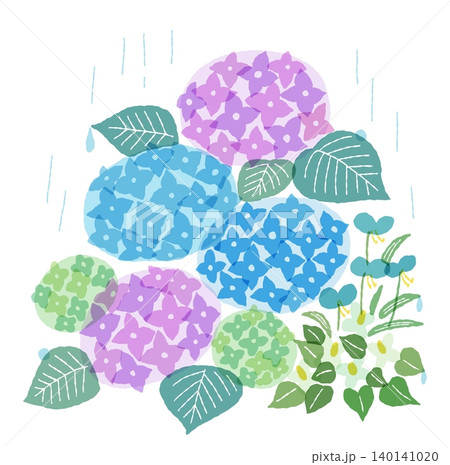 6月の花のクリップイラスト　あじさいとツユクサ、ドクダミの花 140141020