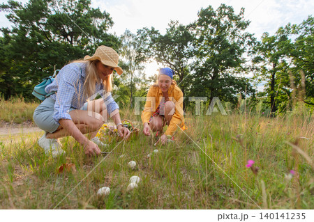 Women collect mushrooms in the sunny forest, enjoying nature on a warm day in early autumn Women collect mushrooms in the sunny forest, enjoying nature on a warm day in early autumn 140141235
