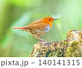 コマドリ 140141315