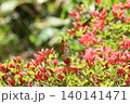 高旗山 140141471
