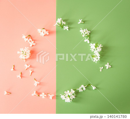 Pastel spring background with scattered lilac blossoms Pastel spring background with scattered lilac blossoms 140141780