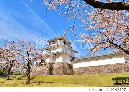長岡城の桜 長岡城の桜 140142307