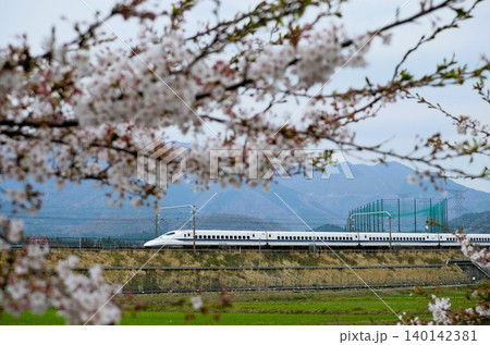 桜満開の中を走る新幹線700系電車 桜満開の中を走る新幹線700系電車 140142381