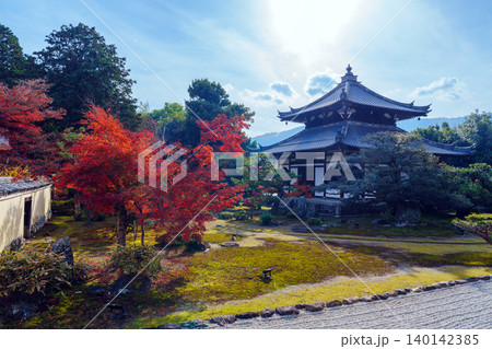 秋の鹿王院 舎利殿 秋の鹿王院 舎利殿 140142385