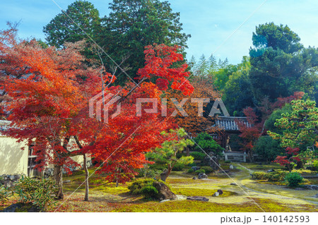 秋の鹿王院の庭園 秋の鹿王院の庭園 140142593