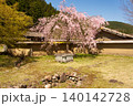 嘗て栄えた街の枝垂れ桜 140142728