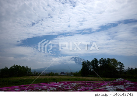 芝桜と羊蹄山 140142742