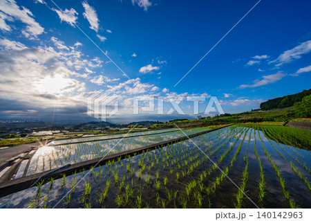 【山梨県】南アルプス市 田植えが済んだ中野の棚田 富士山 日の出 【山梨県】南アルプス市 田植えが済んだ中野の棚田 富士山 日の出 140142963