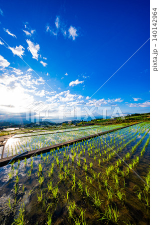 【山梨県】南アルプス市 田植えが済んだ中野の棚田 富士山 日の出 【山梨県】南アルプス市 田植えが済んだ中野の棚田 富士山 日の出 140142964
