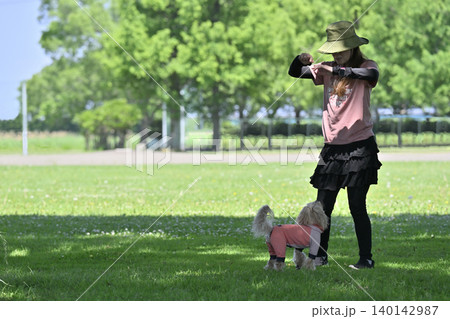 愛犬と遊ぶ女性 ドッグダンス マルプー(マルチーズ×トイぷー) 愛犬と遊ぶ女性 ドッグダンス マルプー(マルチーズ×トイぷー) 140142987