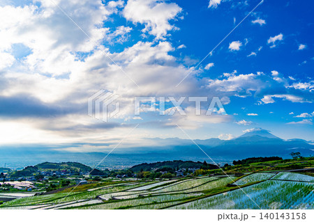 【山梨県】南アルプス市　田植えが済んだ中野の棚田　富士山 140143158