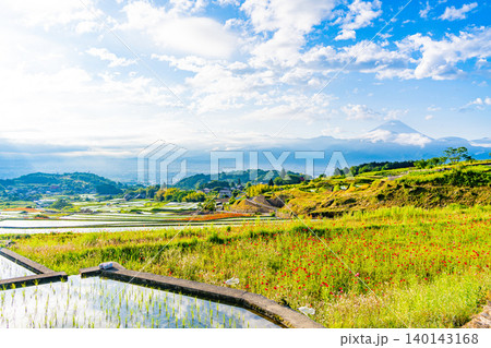【山梨県】南アルプス市　田植えが済んだ中野の棚田　富士山 140143168