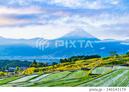 【山梨県】南アルプス市 田植えが済んだ中野の棚田 富士山 【山梨県】南アルプス市 田植えが済んだ中野の棚田 富士山 140143179