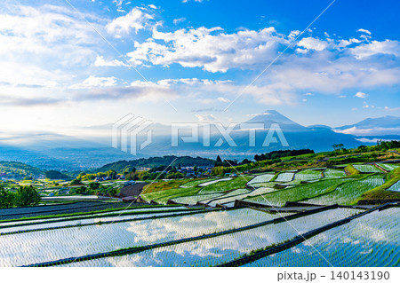 【山梨県】南アルプス市　田植えが済んだ中野の棚田　富士山 140143190