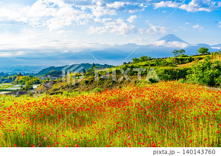 【山梨県】南アルプス市 初夏の中野の棚田 富士山 【山梨県】南アルプス市 初夏の中野の棚田 富士山 140143760