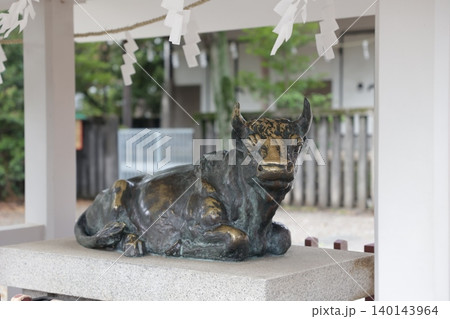 神社に鎮座する臥牛像としめ縄 神社に鎮座する臥牛像としめ縄 140143964