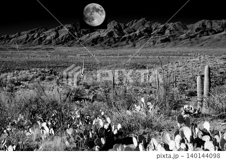 Moon Rising High Contrast Old Saguaro Cactus Sonora desert Arizona in Black and White 140144098