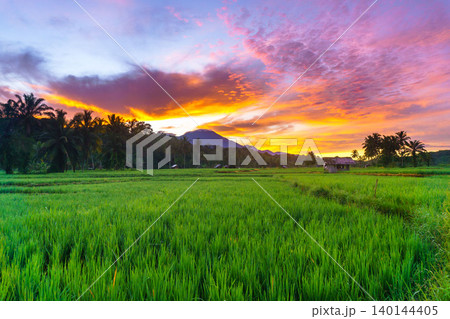 The natural beauty of the Indonesian mountains with beautiful tropical forests at sunrise The natural beauty of the Indonesian mountains with beautiful tropical forests at sunrise 140144405