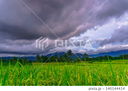 The natural beauty of the Indonesian mountains with beautiful tropical forests at sunrise 140144414