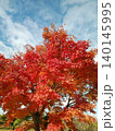 真っ赤な紅葉 140145995