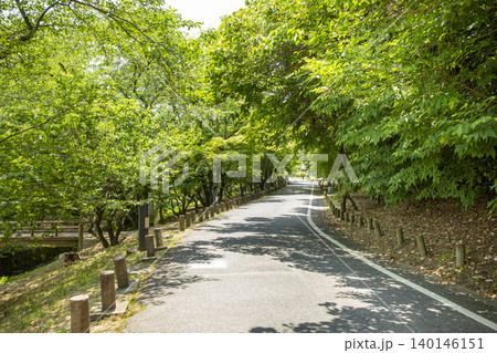 新緑に包まれた道 新緑に包まれた道 140146151